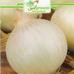 Seminte legume - Ceapa Alba White Queen