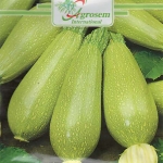 Seminte legume - Dovlecel Bolognese