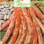 Seminte legume -Fasole Urcatoare Borlotto Red