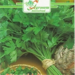 Seminte legume - Patrunjel Frunze Gigante De Italia