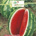 Seminte legume - Pepene Verde Crimson Sweet