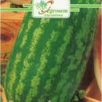 Seminte legume - Pepene Verde Klondike Blue Ribbon