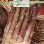 Seminte legume - Sparanghel Precoce D'Argenteuil