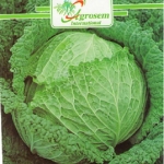 Seminte legume - Varza Creata Aubervilliers