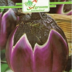 Seminte legume - Vinete Florence Violet Round
