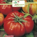 Seminte legume - Tomate Marmande